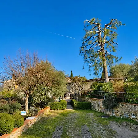 La Quiete In Chianti Willa Linari